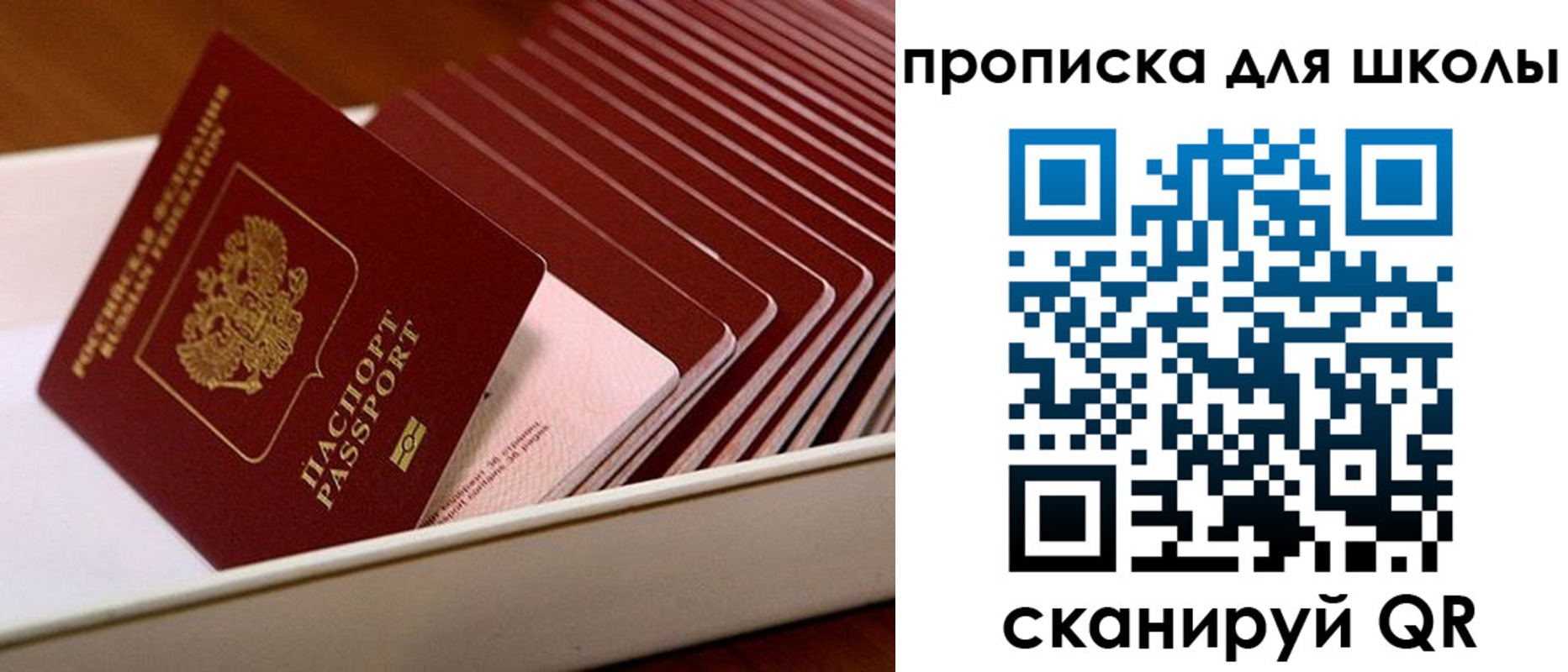 временная регистрация гарантия в Отрадном